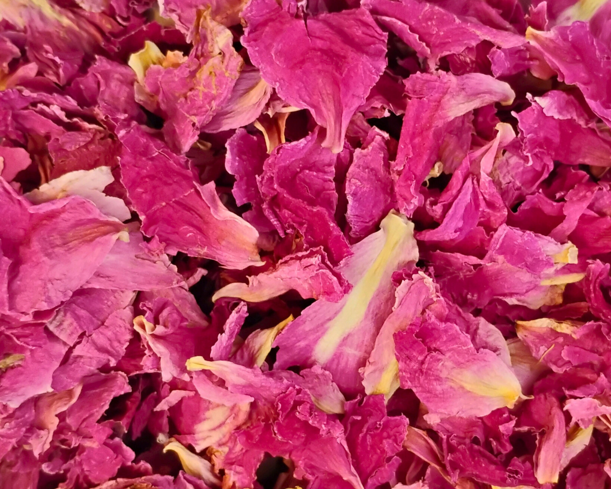 organic peony petals