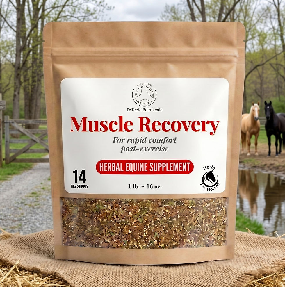 Thumbnail: muscle recovery support blend