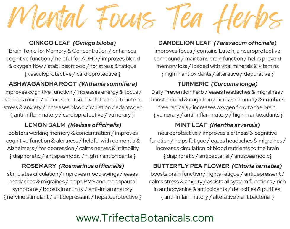 Thumbnail: mental focus tea blend benefits
