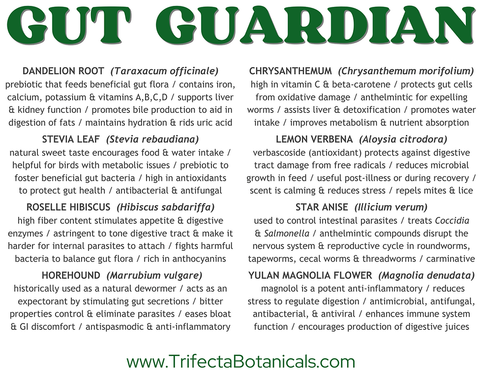 Thumbnail: gut guardian herbal benefits