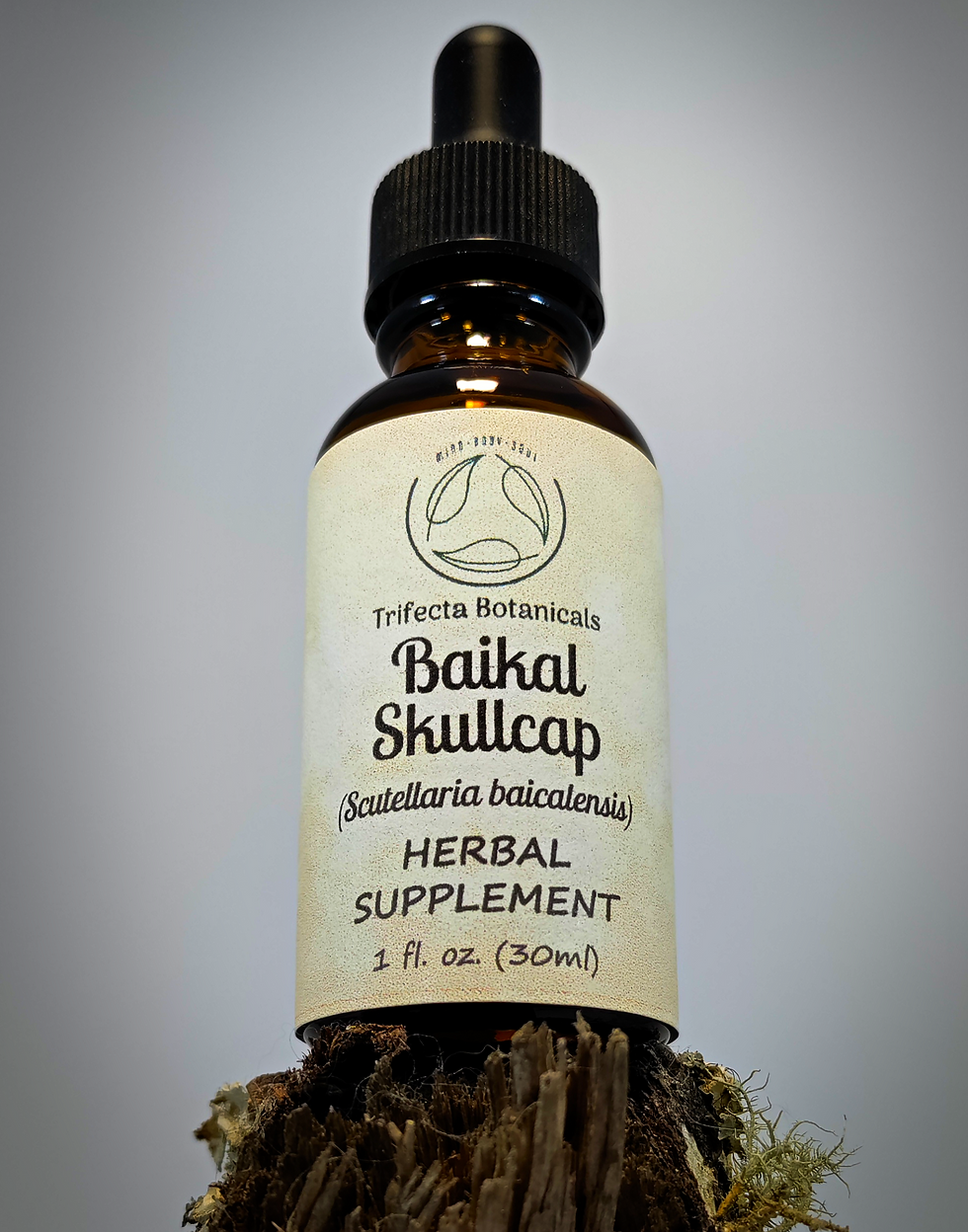 Thumbnail: skullcap extract tincture