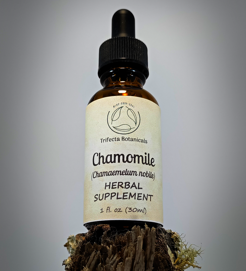 Thumbnail: chamomile herbal tincture