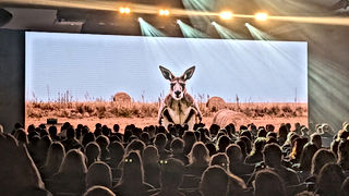Cvent Conference - July 2025