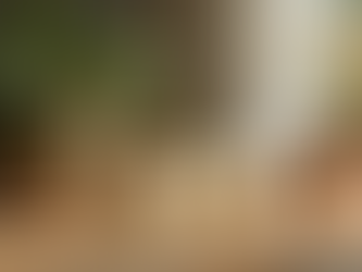 Maximize Savings by Earning Beauty Reward Points