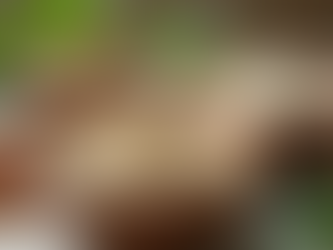 The Advantages of Choosing Natural Skincare Products