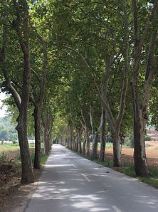 Low traffic road in Spain