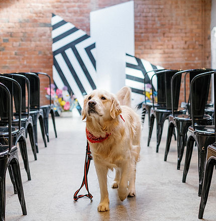 Copyright _ivyandpinephotography 2 - The Shack Revolution - Alt Wedding Fair.jpg