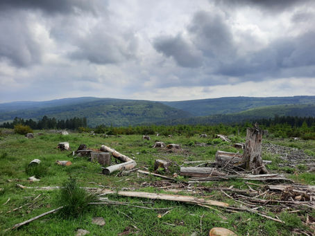 Neue Partnergemeinde