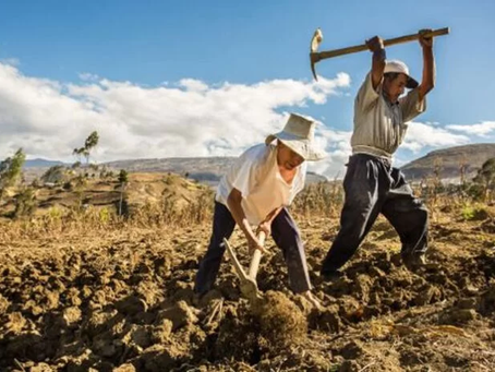 FAO: América Latina puede liderar la alimentación y la agricultura mundiales