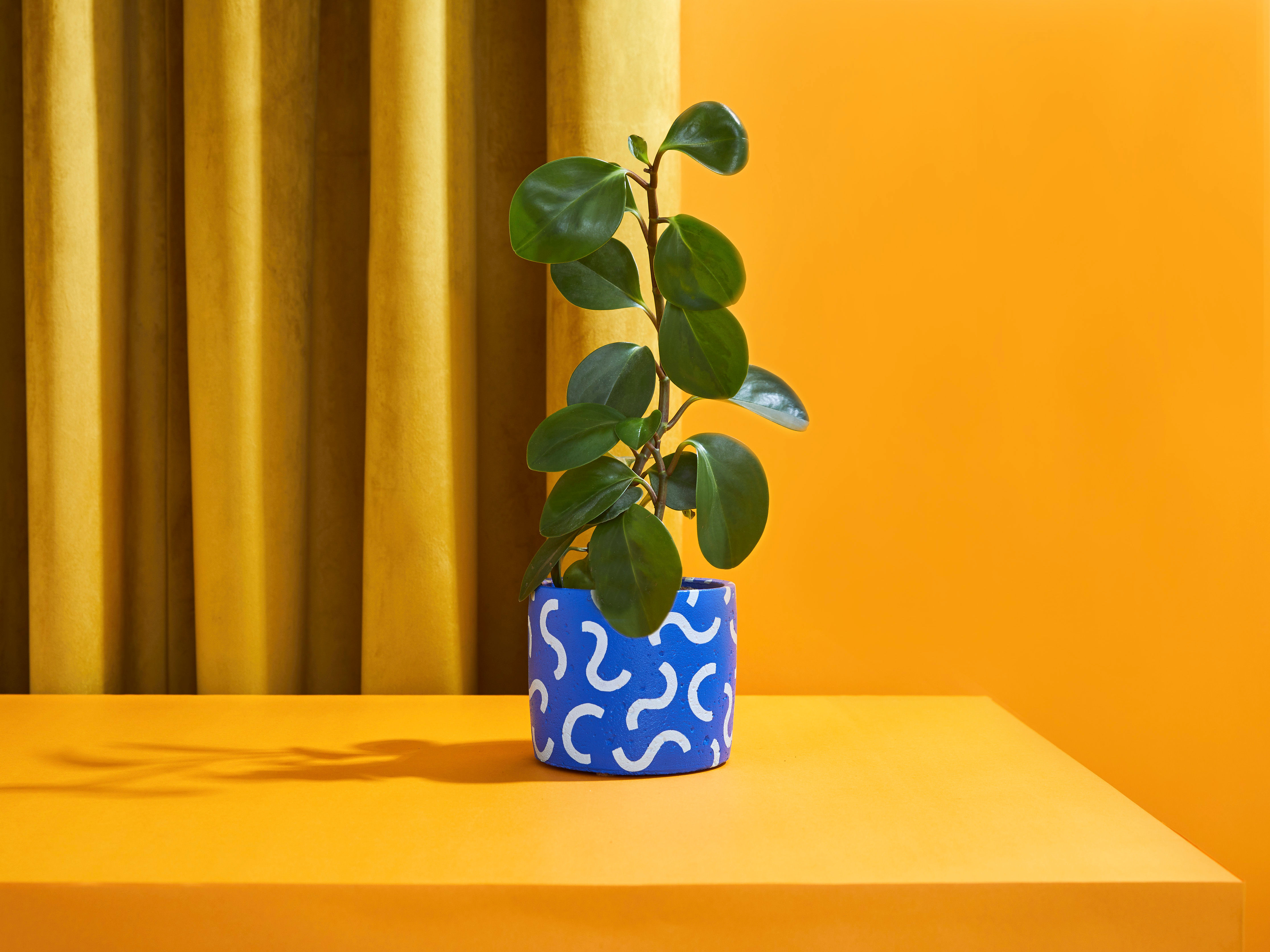 WIGGLE PLANT POT / BLUE