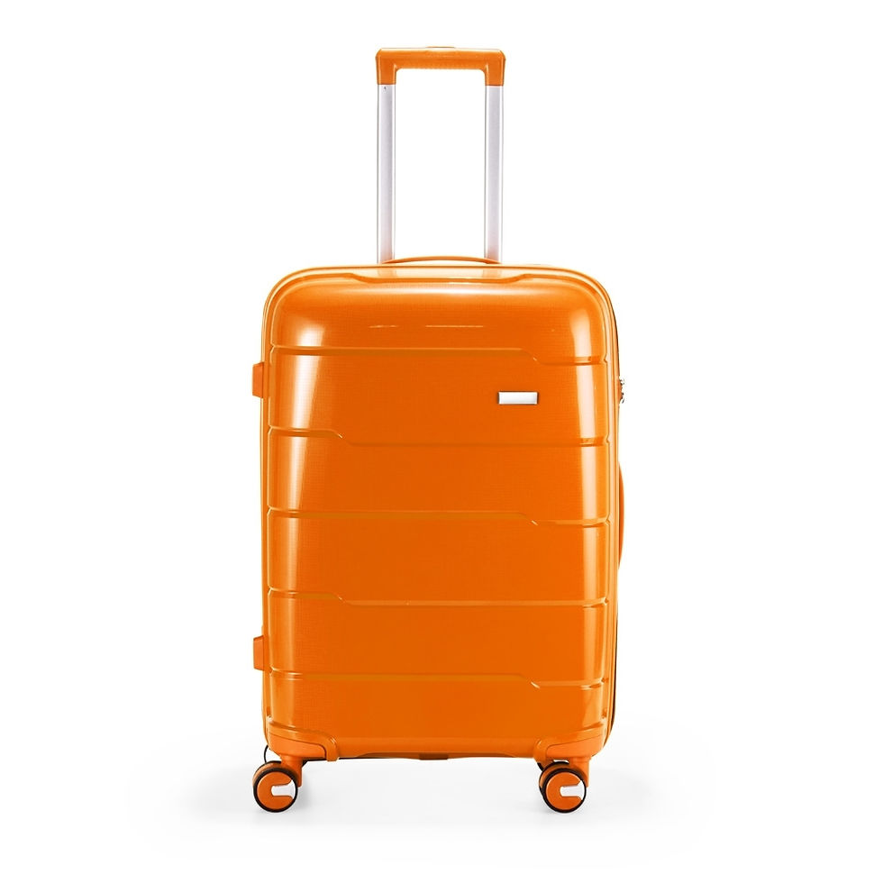 Miniatura: Mala de Viagem Personalizada 64L – Espaço, Segurança e Personalização