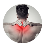 Thorassic Park Too_Neck Pain