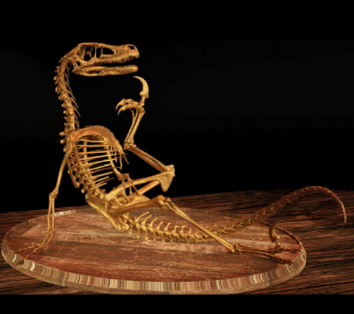 Thorassic Park Too_Chiropractic_Questions
