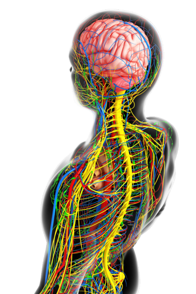 How Chiropractic Can Help with Stress