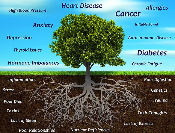 Functional Medicine_Info_Thorassic Park.jpg
