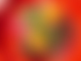 アンケート回答特典:先行予約受付中