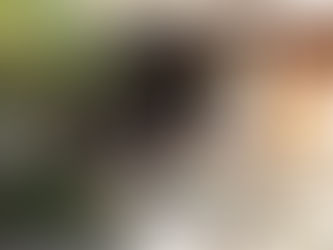 先行予約特典など追加のお知らせ