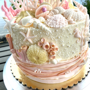 Pink Seashells.HEIC