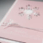Miniaturbild: Snowflake