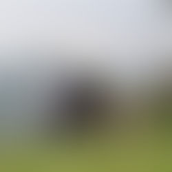 Direction Pikoketa pour une grimpe partagée !