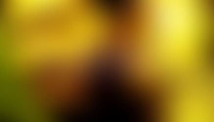 'Enemy': A Hypnotic Psychological Thriller About a Man Searching Out His Own Doppelgänger