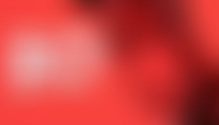 'EO': A Surrealistic Odyssey About a Gray Donkey Languidly Trekking Across Eastern Europe