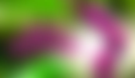 ‘Holy Motors’: The Bizarre and Delightful Escapades of a Mysterious Parisian Operative