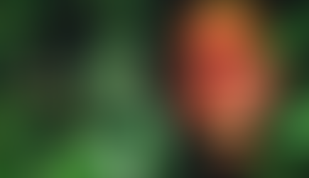 'Baraka': An Extraordinary Wordless Documentary Showcasing Nature and Humanity Around the Globe