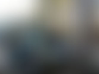 Forestry Mulching Near Me for Backyard Projects: What Homeowners Need to Know