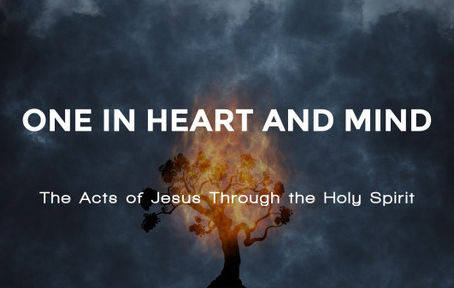 Ascended/Descended, Angel/Spirit, Covenant: Mankind