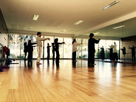 Tai Chi & Qigong Workshop in Gaia, Portugal