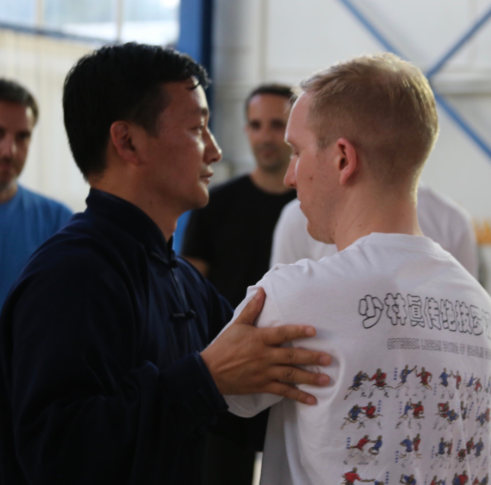 Pushing Hands Seminar in Greece 2016