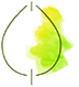 リーフ.png