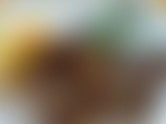 Wątróbka drobiowa, bomba odrzywcza i witaminowa