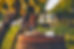 shutterstock_2056908401-LOW.jpg
