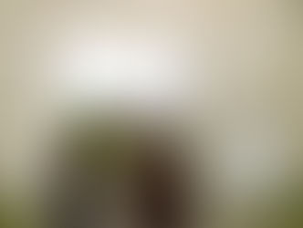 Trois occasions uniques de découvrir notre métier :