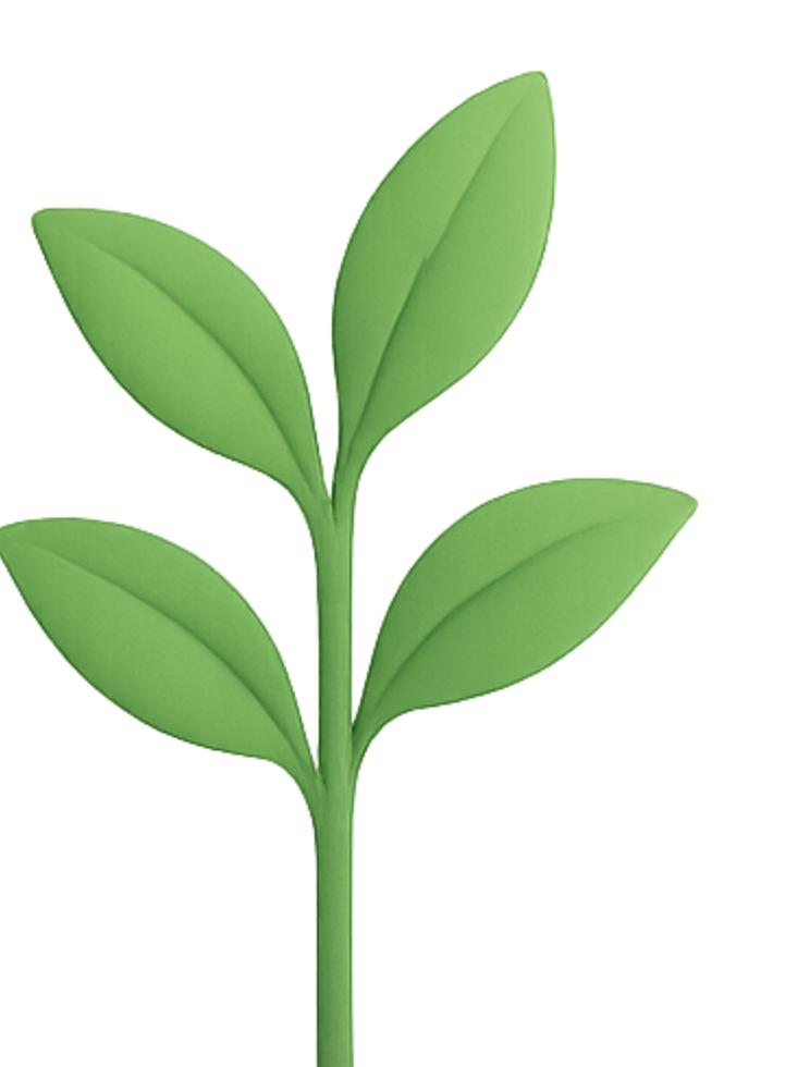 Site web évolutif - Stravima