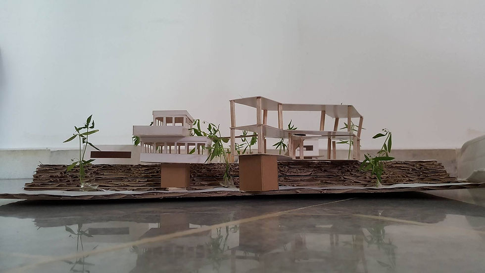 Model
