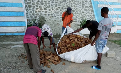 Asenisman OCODEG OPODNE GRAND BASSIN