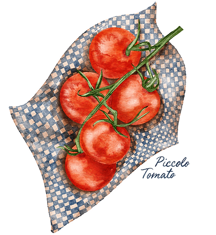 Piccolo Tomato.png