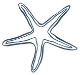 starfish 1.png