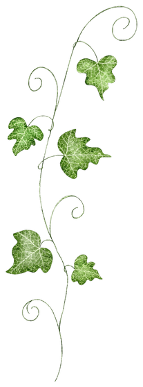ivy.png