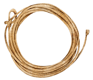 lasso .png
