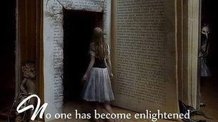 Insights on the Journey to Enlightenment