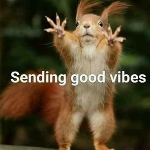 ONLINE, PHONE, & DISTANCE SERVICES AVAILABLE!