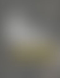 The Wise Fool (May 21st - 27th, 2023) 