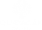 GUAYACAN_LOGO_est_col (1) copy.png