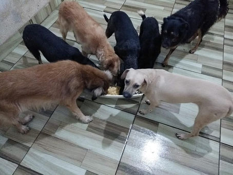 Parceria com o restaurante popular do Recife é um sucesso