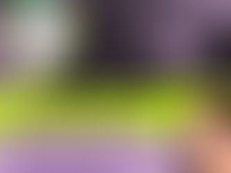 Agora é lei: Recife não terá mais aluguél de cães para serviço de vigilância