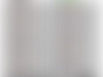 SWS JAPAN 2026 クラス別ランキング【スプリント】